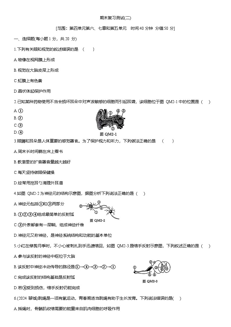 2025-2026学年人教版八年级生物上册期末复习测试(二)第1页