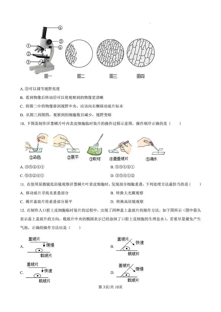 河南省郑州市郑东新区玉溪初级中学2025-2026学年七年级上学期期中生物试题及答案第3页