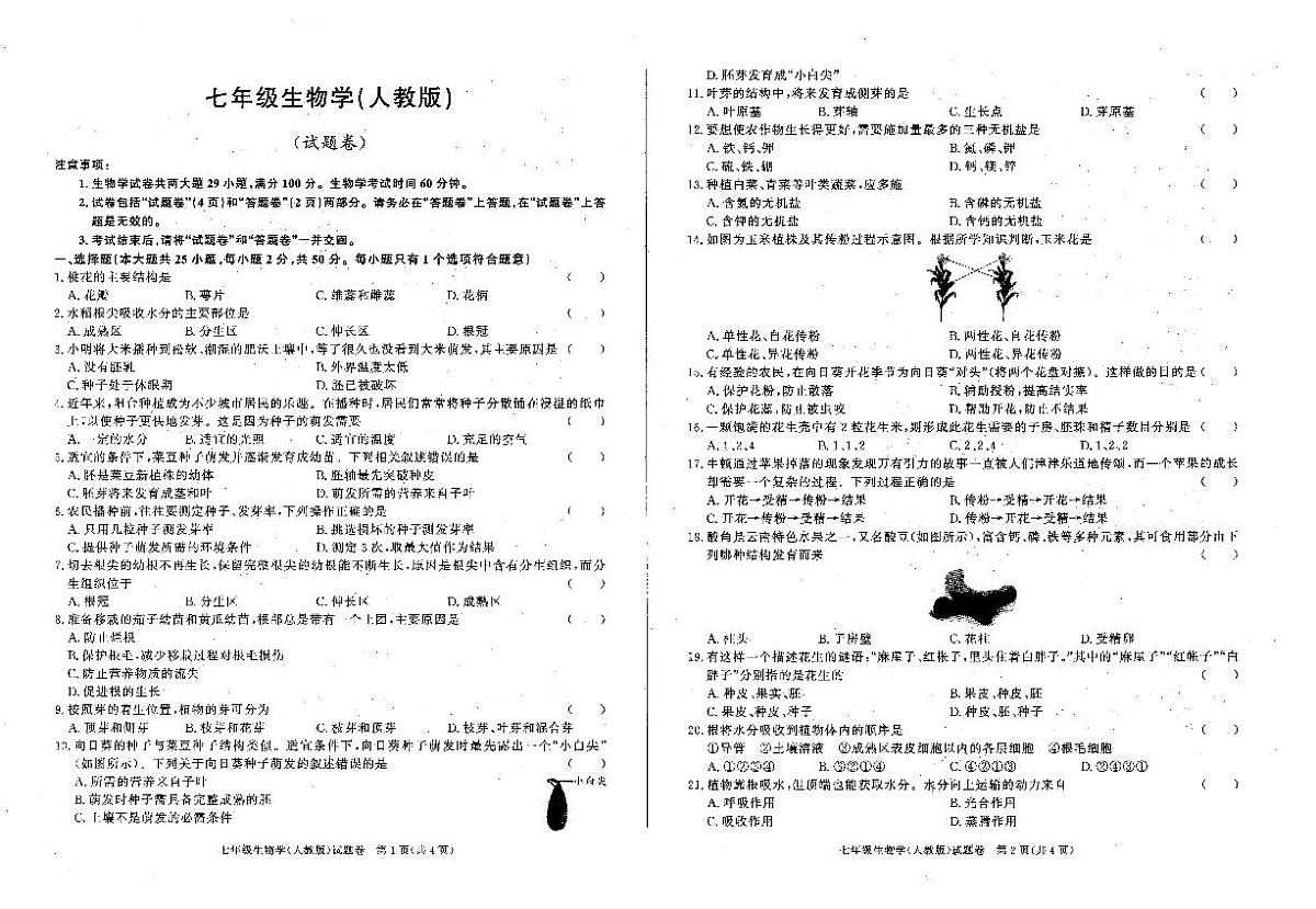 安徽省六安市霍邱县2024-2025学年七年级下学期3月份月考生物试题第1页