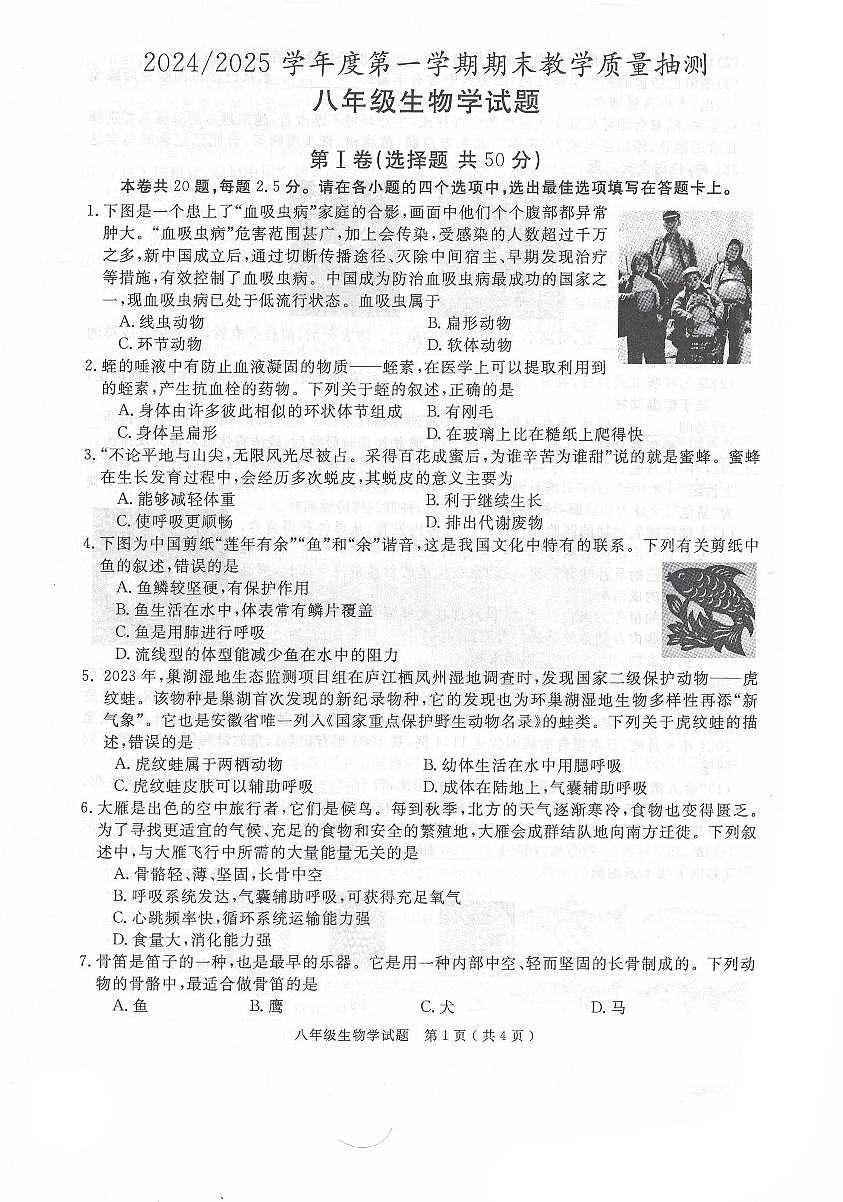 安徽省合肥市庐江县2024-2025学年八年级上学期期末生物学试题第1页