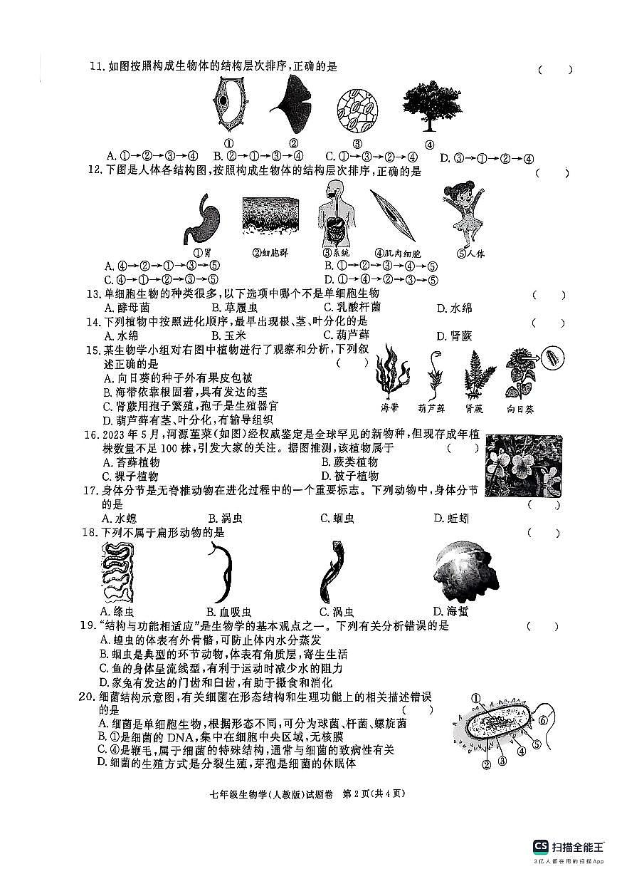 安徽省安庆市2024-2025上学期期末调研七年级生物学【人教版】试卷第2页