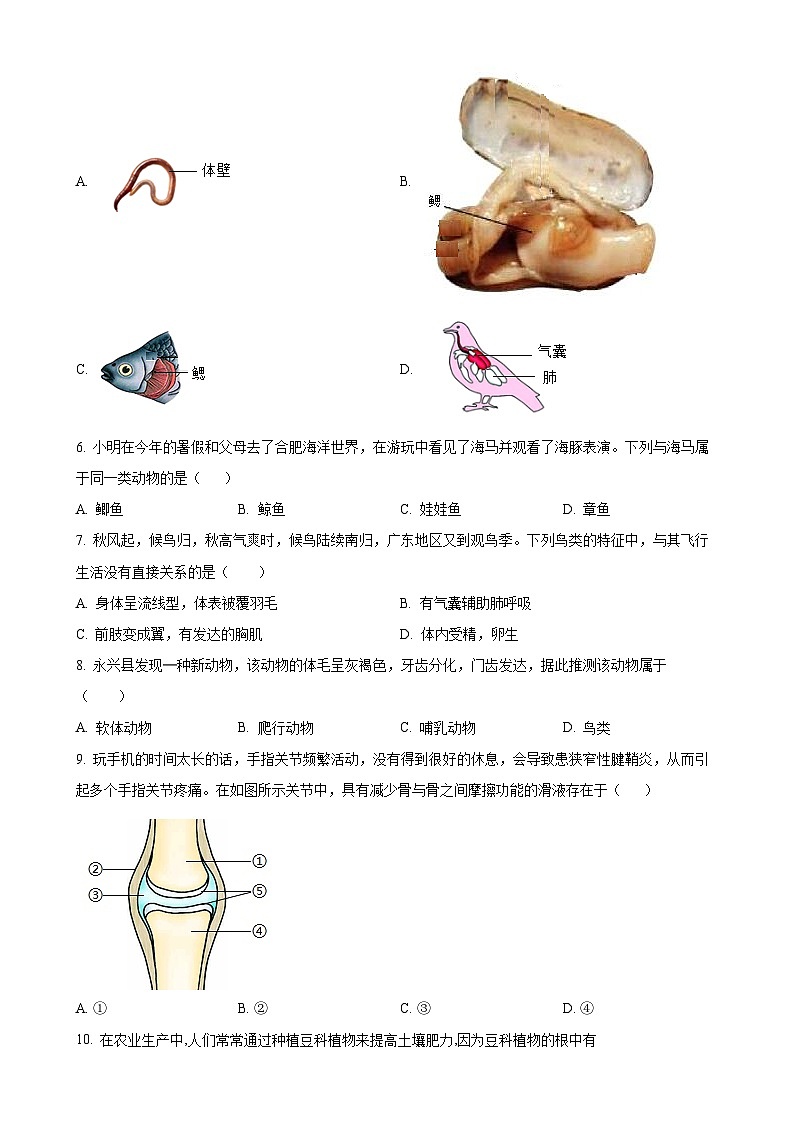 安徽省安庆市太湖县上学期期末教学质量监测八年级生物试题（原卷版）-A4第2页