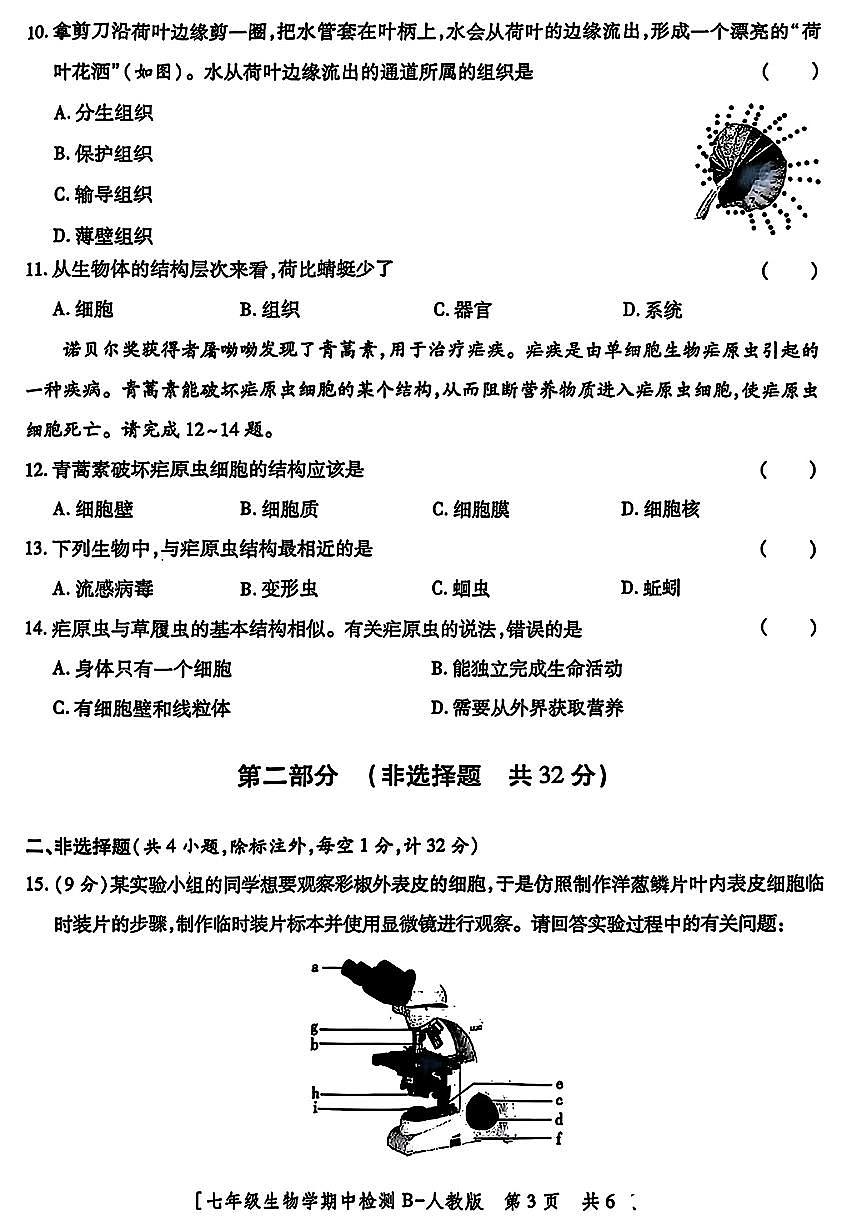 陕西省咸阳市永寿县常宁镇中学2025-2026学年七年级上学期期中检测生物学试题第3页