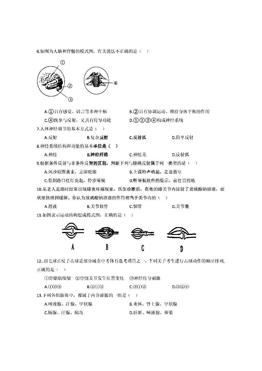 2025年哈尔滨市39中学八年级（上）生物期中试题及答案第2页