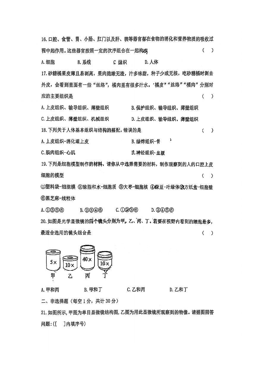 2025年哈尔滨市113中学七年级（上）生物期中试题及答案第3页