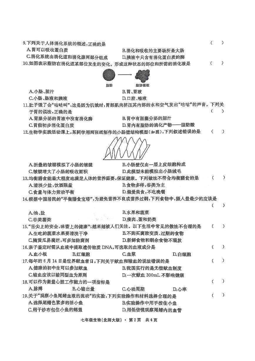 安徽省淮北市五校联考2024-2025学年七年级下学期3月月考生物试卷第2页