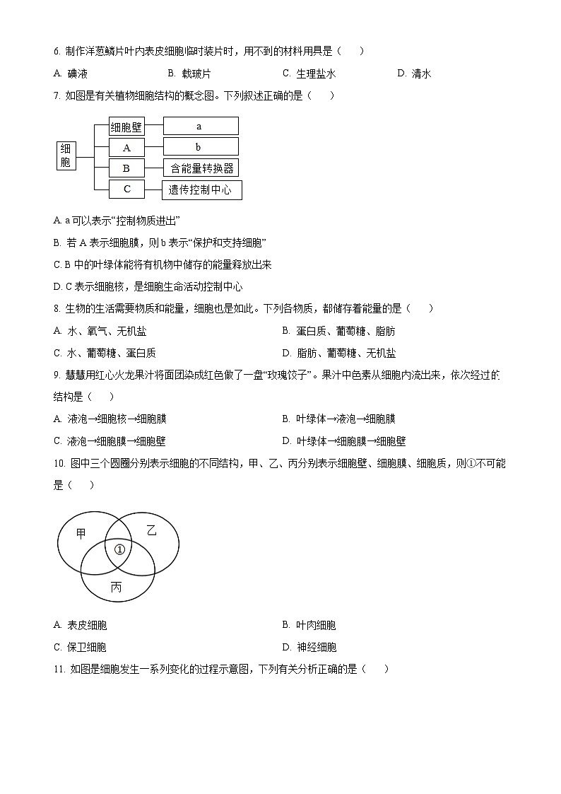 安徽省淮北市2024-2025年七年级上学期期末生物试题（原卷版）-A4第2页