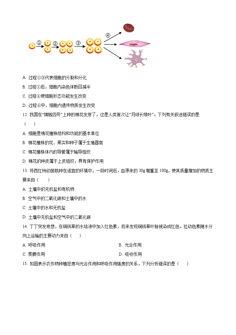 安徽省淮北市2024-2025年七年级上学期期末生物试题（原卷版）-A4第3页