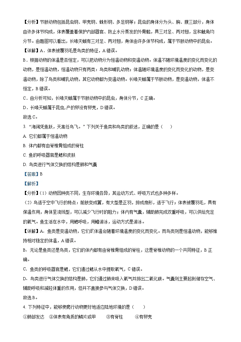 安徽省亳州市利辛县2八年级上学期期中生物试题（解析版）-A4第2页