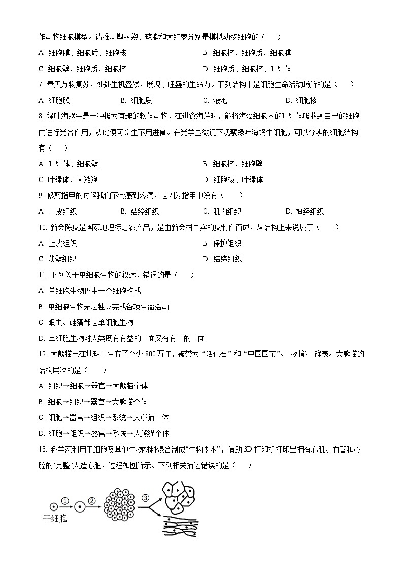 安徽省合肥市新站区2七年级上学期期末生物试题（原卷版）-A4第2页
