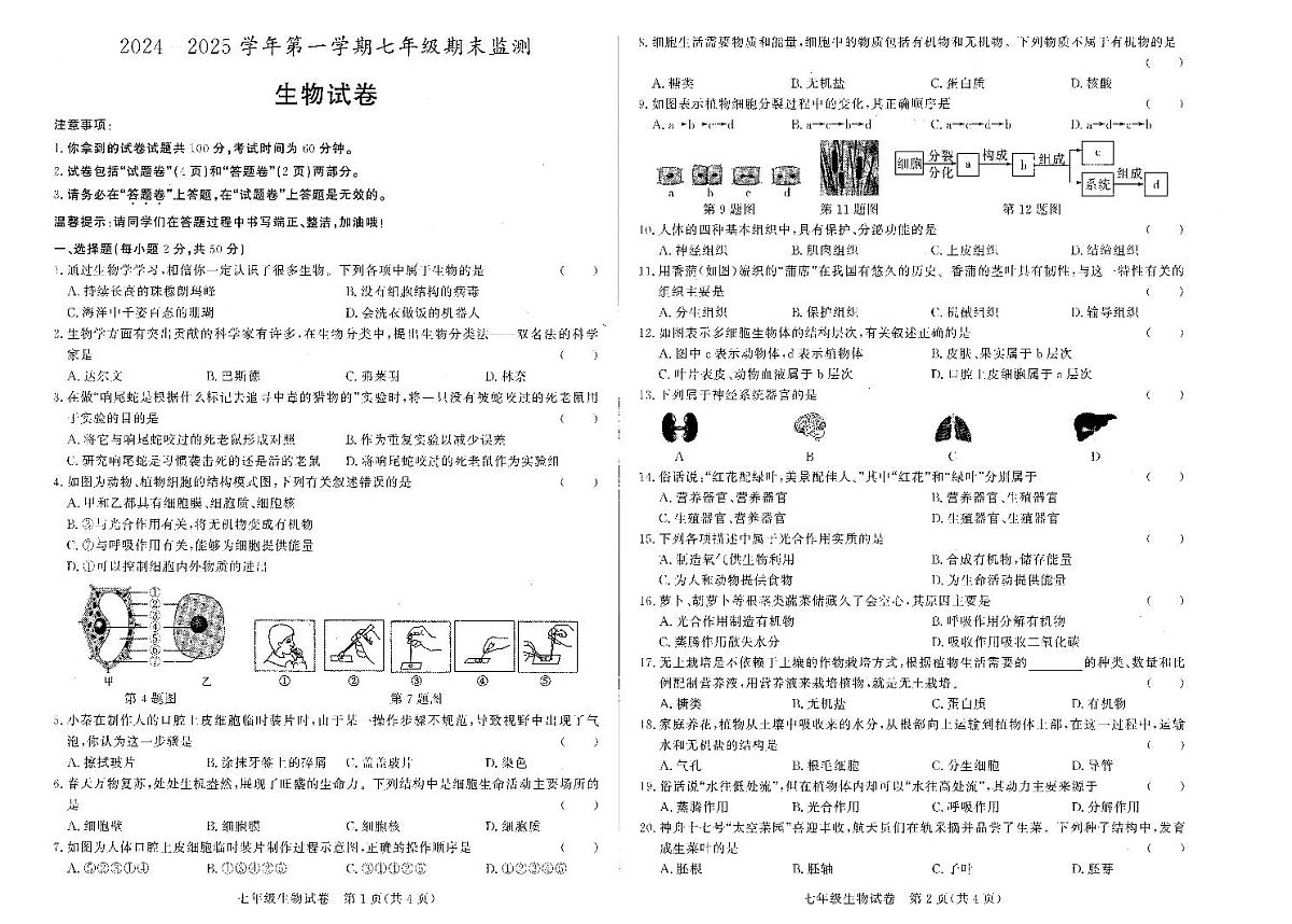 2024－2025学年第一学期安徽省淮南市七年级期终生物试卷第1页