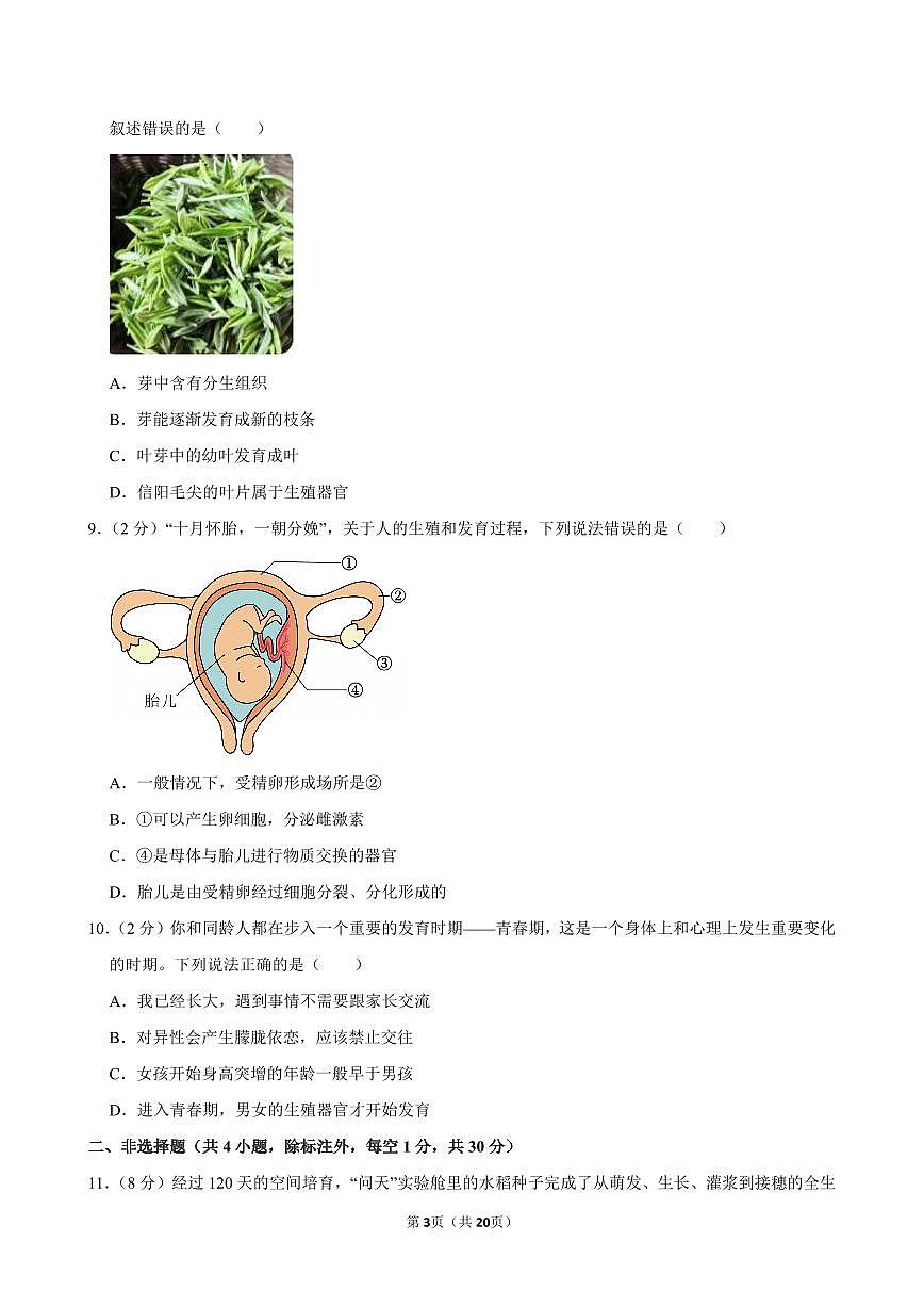 2024-2025学年湖北省荆楚联盟七年级（下）期中生物试卷第3页
