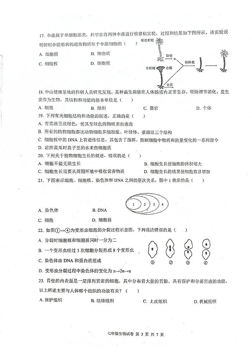 广东省中山市多校联考2025-2026学年七年级上学期11月期中生物试题第3页