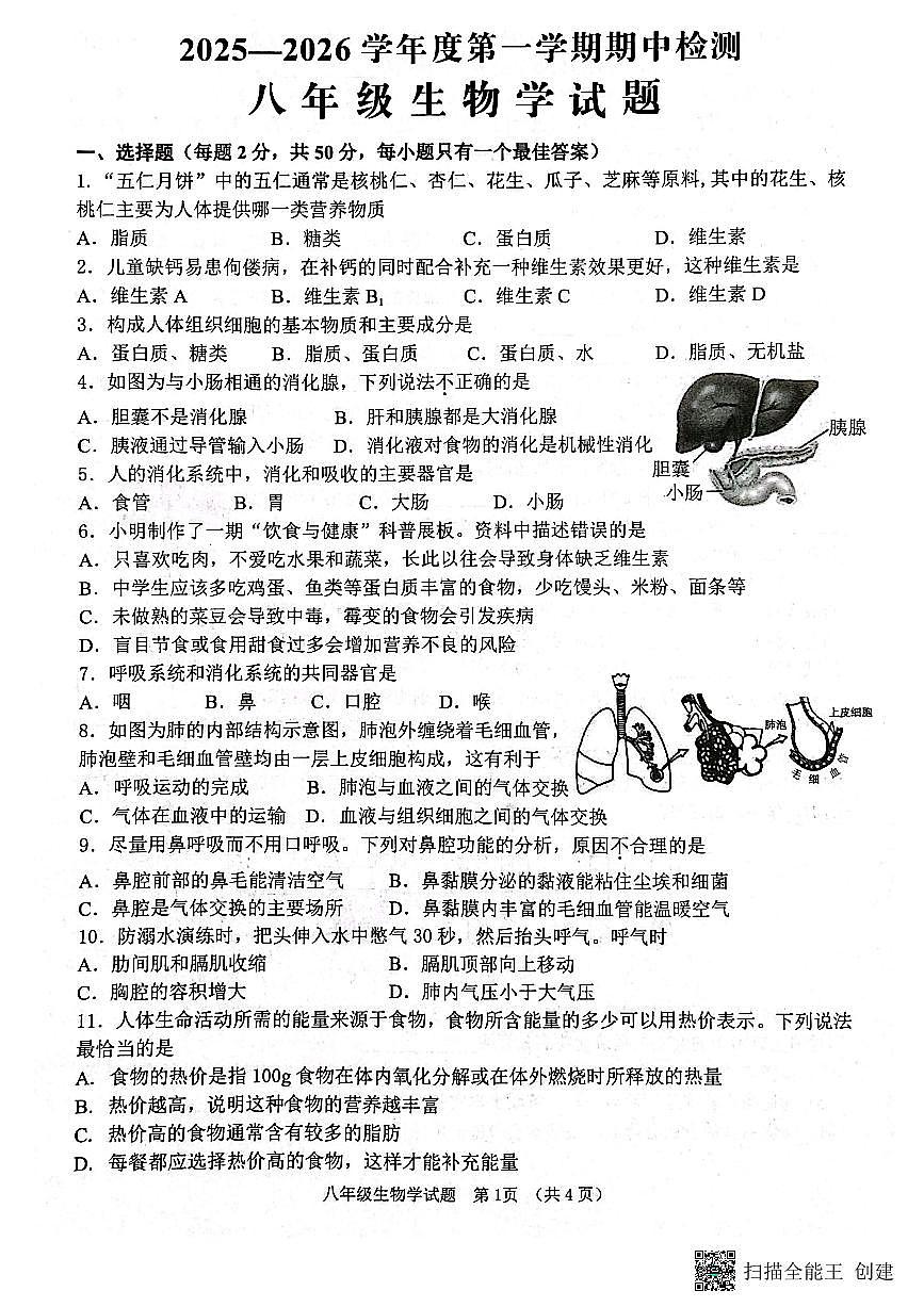 山东省济宁市邹城市2025-2026学年八年级上学期期中检测生物试题第1页