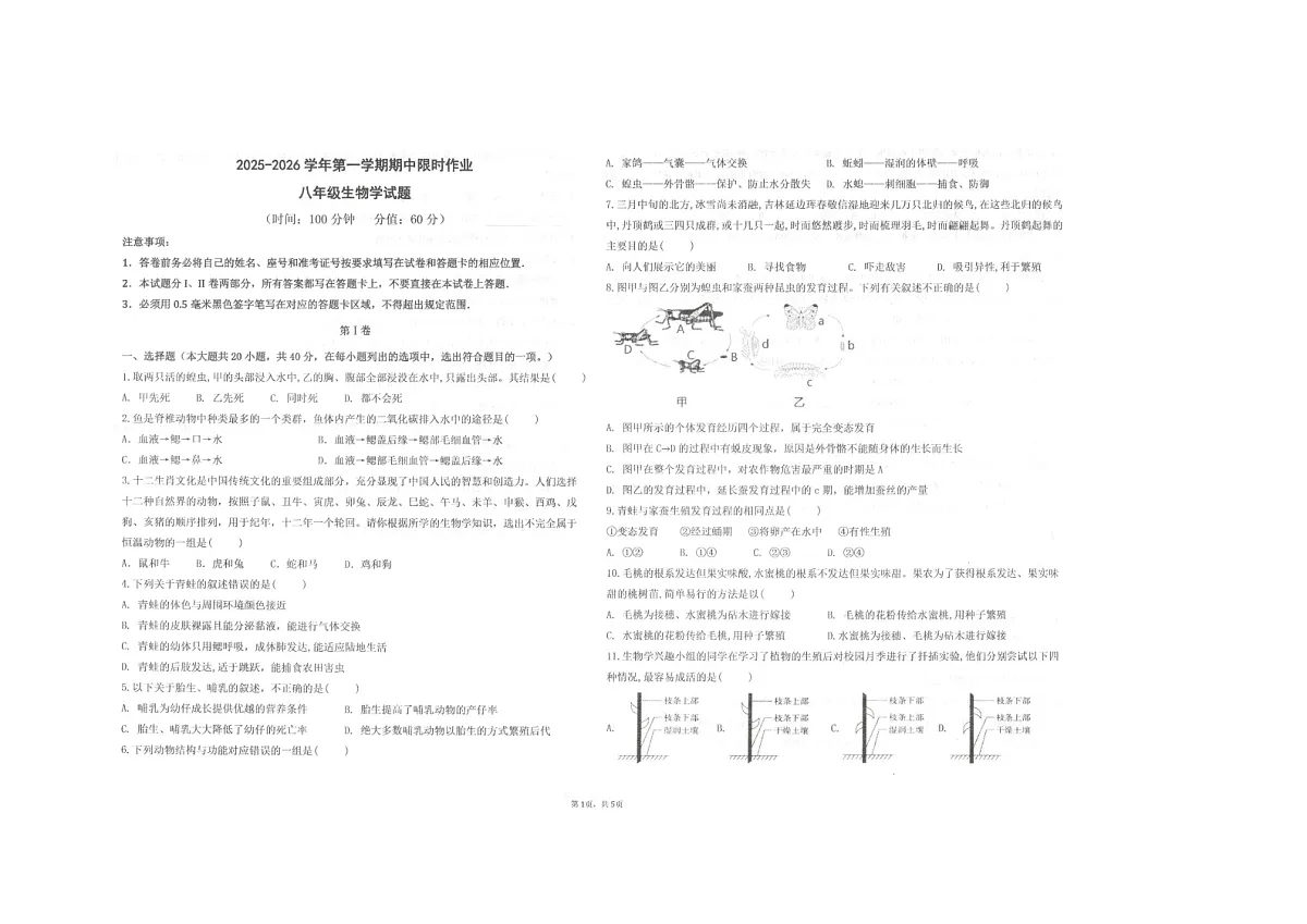 山东省东营市广饶县乐安中学2025-2026学年八年级上学期11月期中生物试题第1页