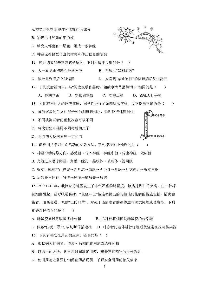 四川省德阳市第二中学校2025-2026学年八年级上学期期中考试生物试题第3页