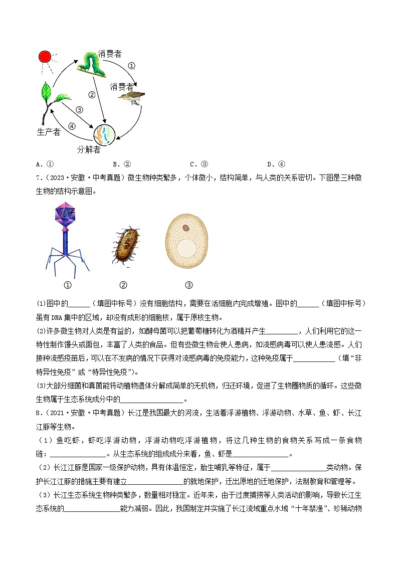 专题02 生物和生物圈（原卷版）第3页