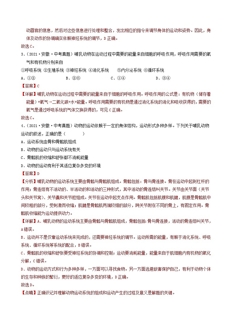 专题07  动物的运动和行为（解析版）第3页