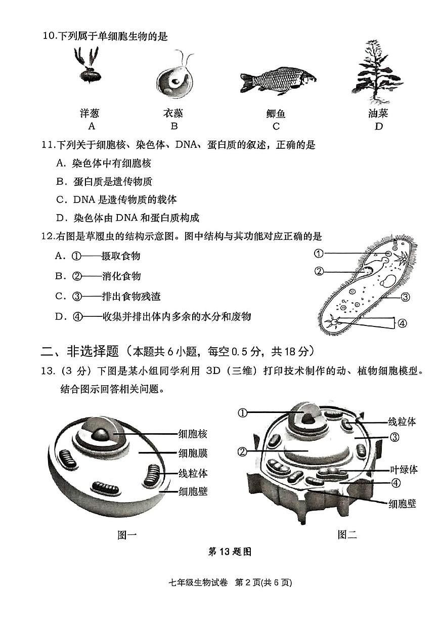 辽宁大连甘井子区2025-2026学年七年级上学期期中生物期中试题（含答案）第2页