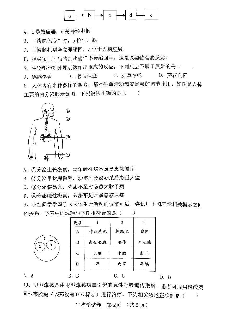 辽宁省大连市高新区2025-2026学年上学期八年级生物学期中试卷（无答案）第2页