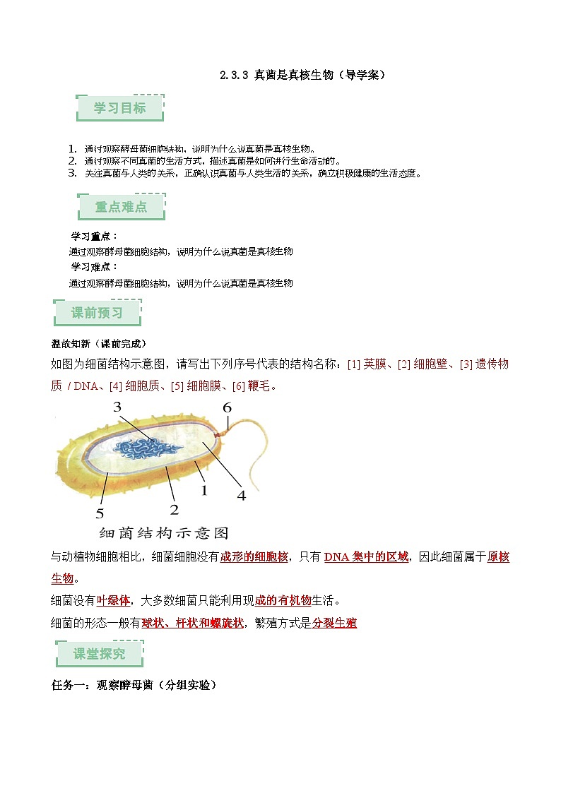 2.3.3 真菌是真核生物 第1课时（解析版）（导学案）生物济南版2024七年级上册第1页