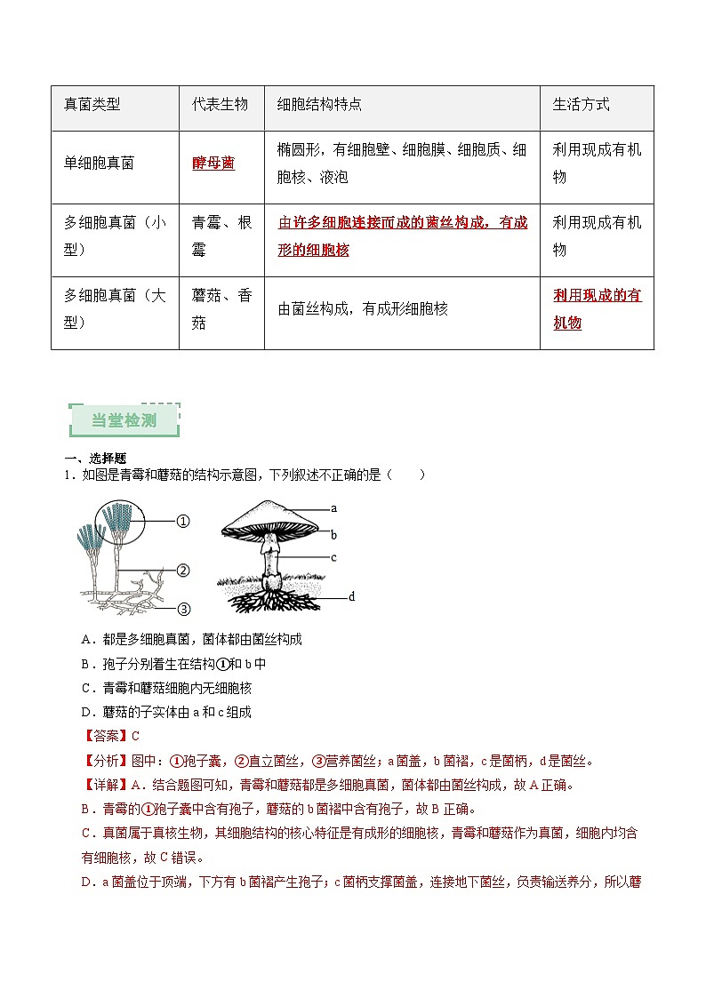2.3.3 真菌是真核生物 第1课时（解析版）（导学案）生物济南版2024七年级上册第3页