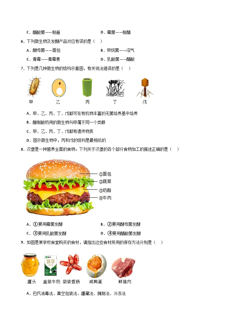 2.3.3 真菌是真核生物（分层作业）（原卷版）第2页