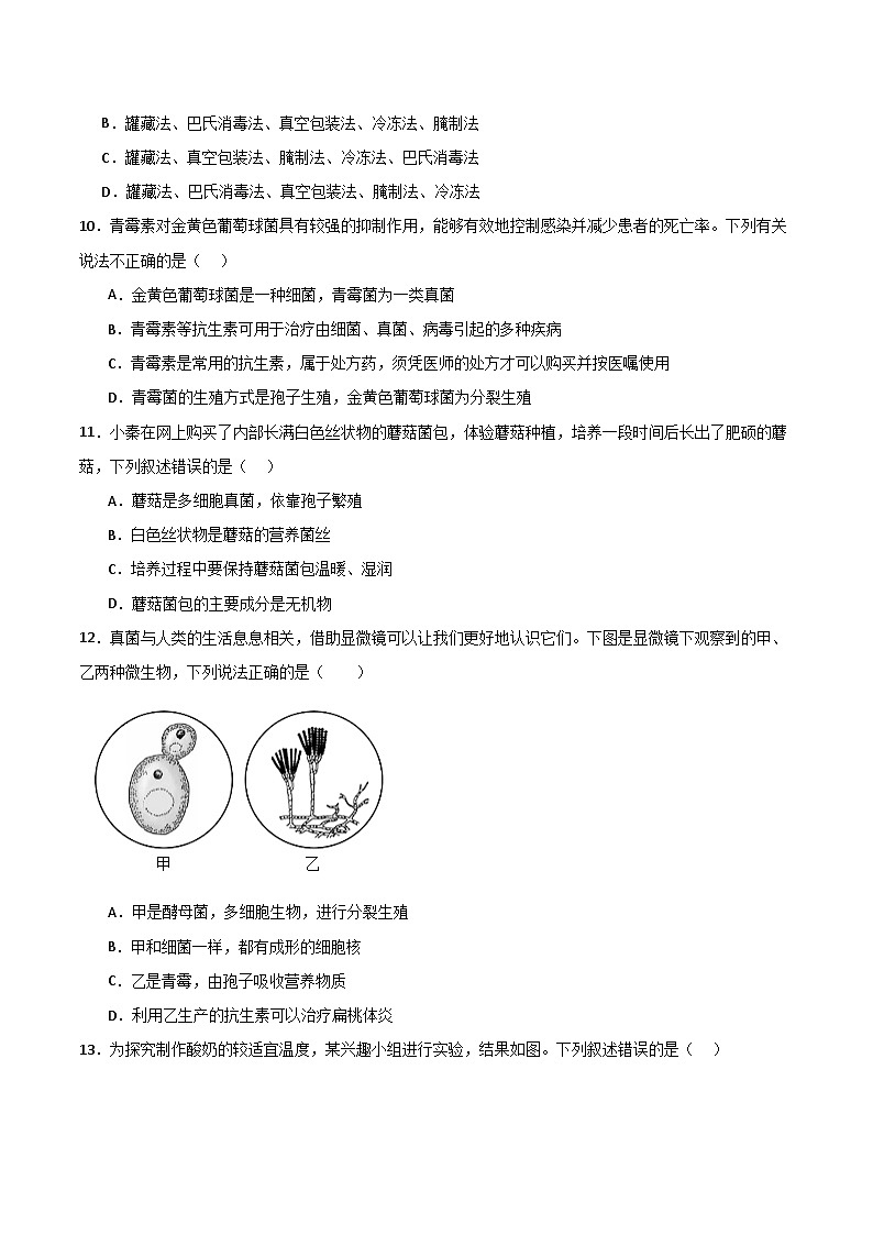 2.3.3 真菌是真核生物（分层作业）（原卷版）第3页