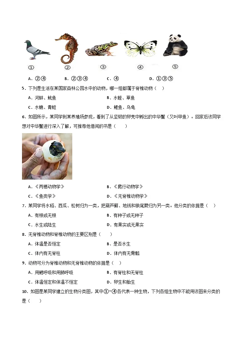 2.4.1依据生物的特征进行分类（分层作业）（原卷版）第2页