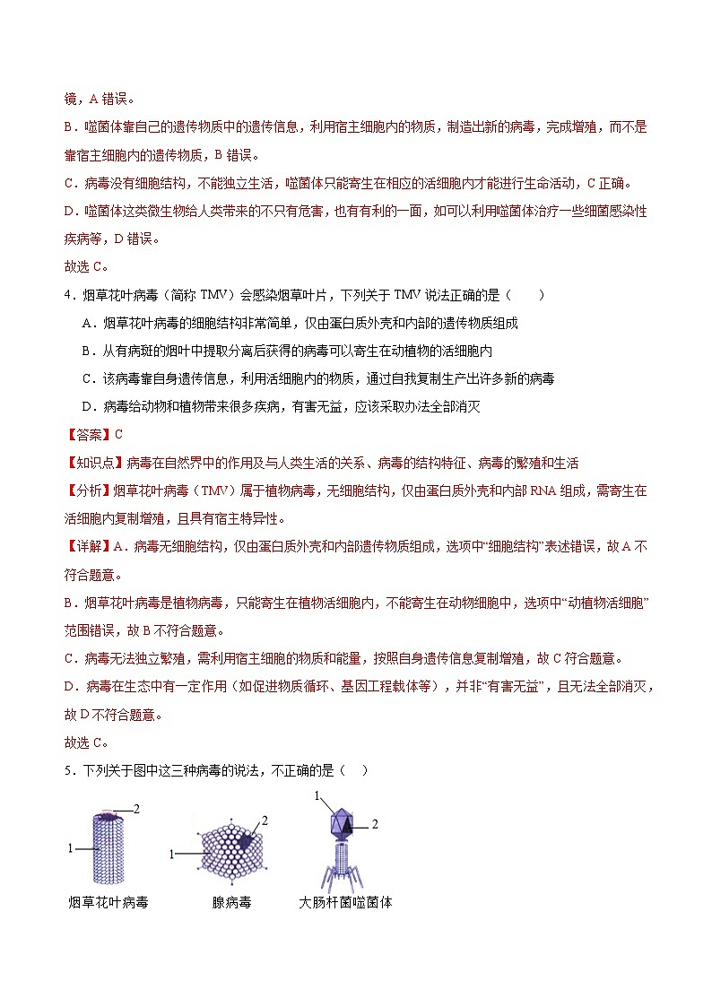 第二单元第三章 微生物主要包括病毒、细菌和真菌（专项训练）（解析版）第3页