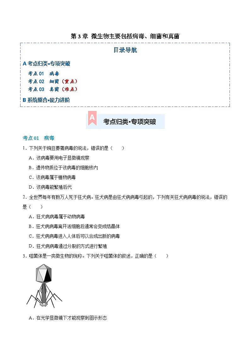 第二单元第三章 微生物主要包括病毒、细菌和真菌（专项训练）（原卷版）第1页