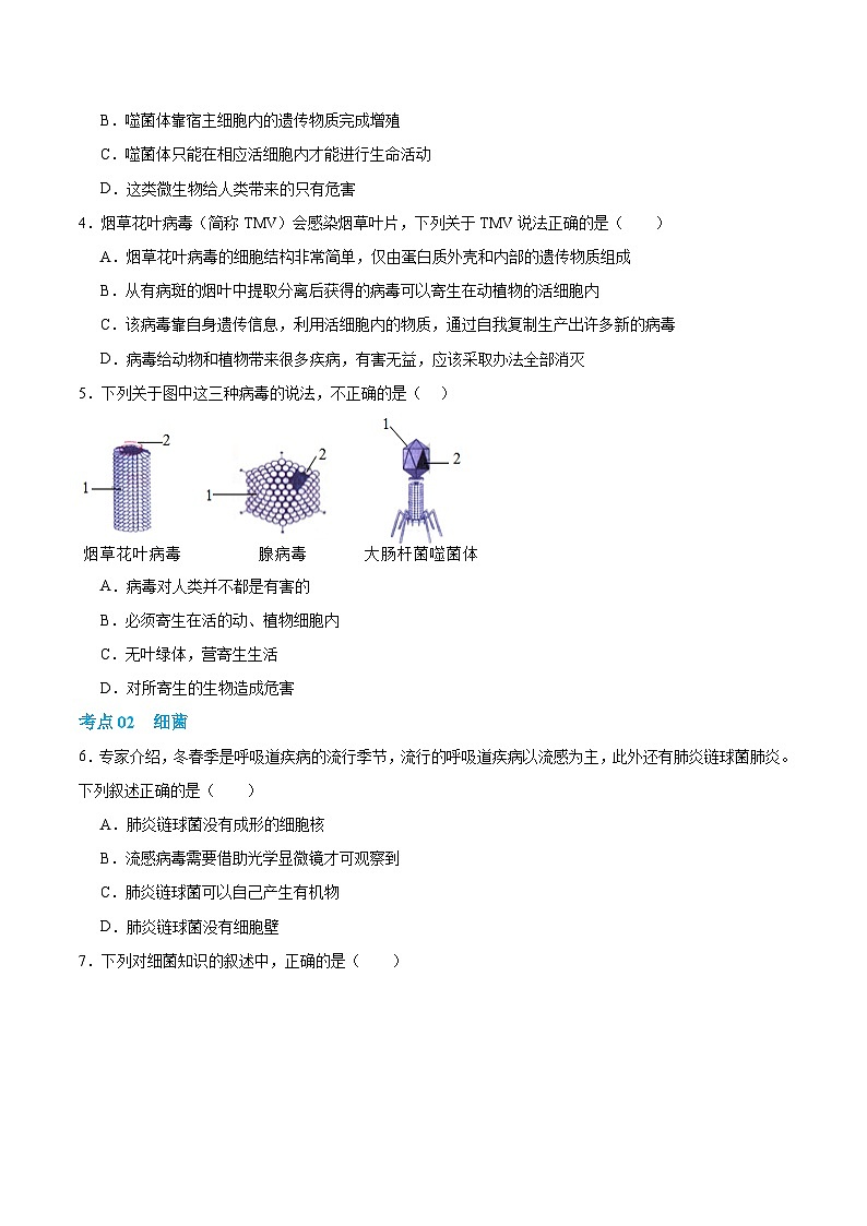 第二单元第三章 微生物主要包括病毒、细菌和真菌（专项训练）（原卷版）第2页