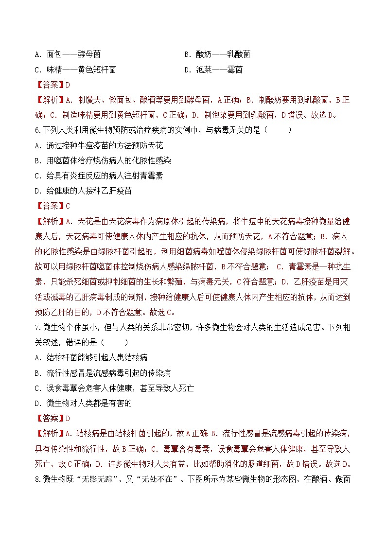 2.5.2微生物和人类的关系 （分层作业）（解析版）第3页