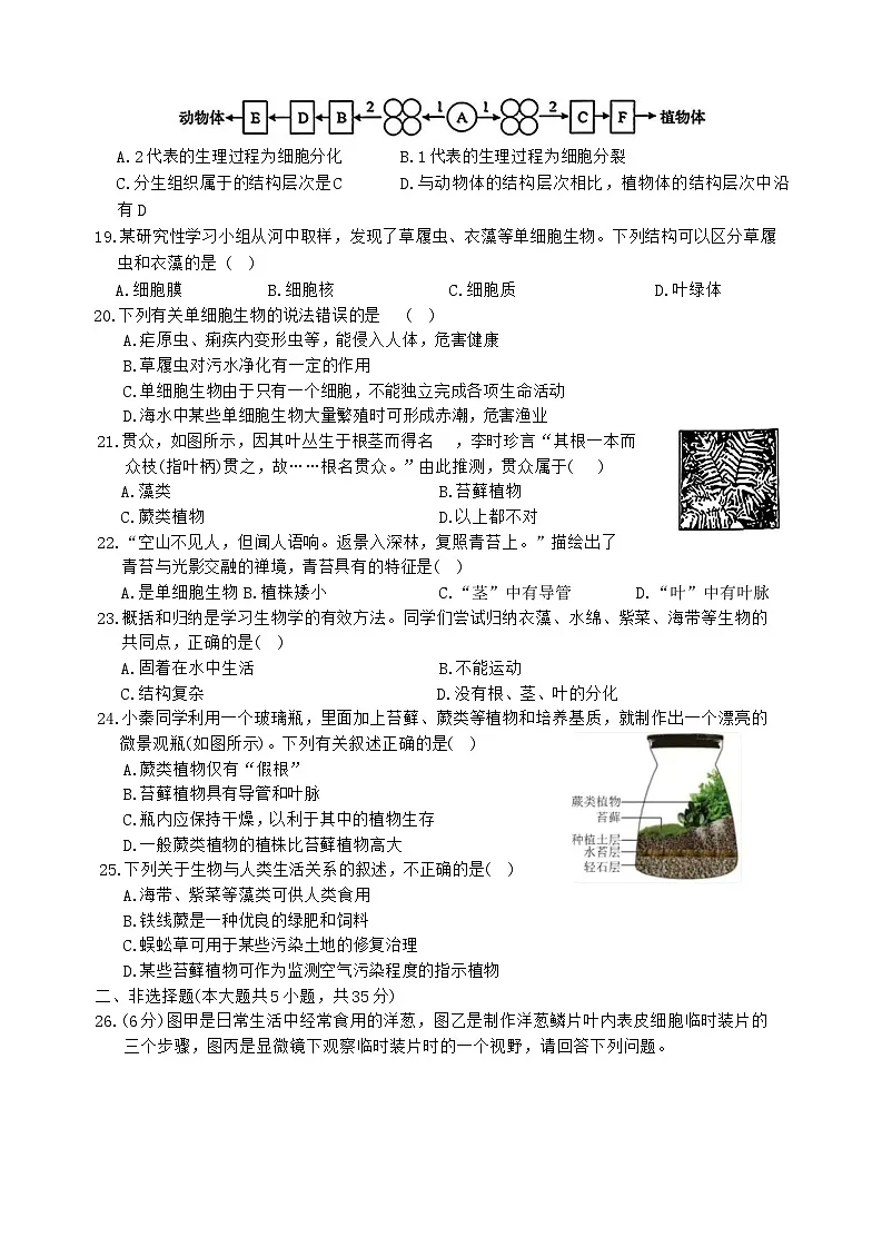 河北省唐山市滦南县2025-2026学年七年级上学期11月期中生物试题第3页