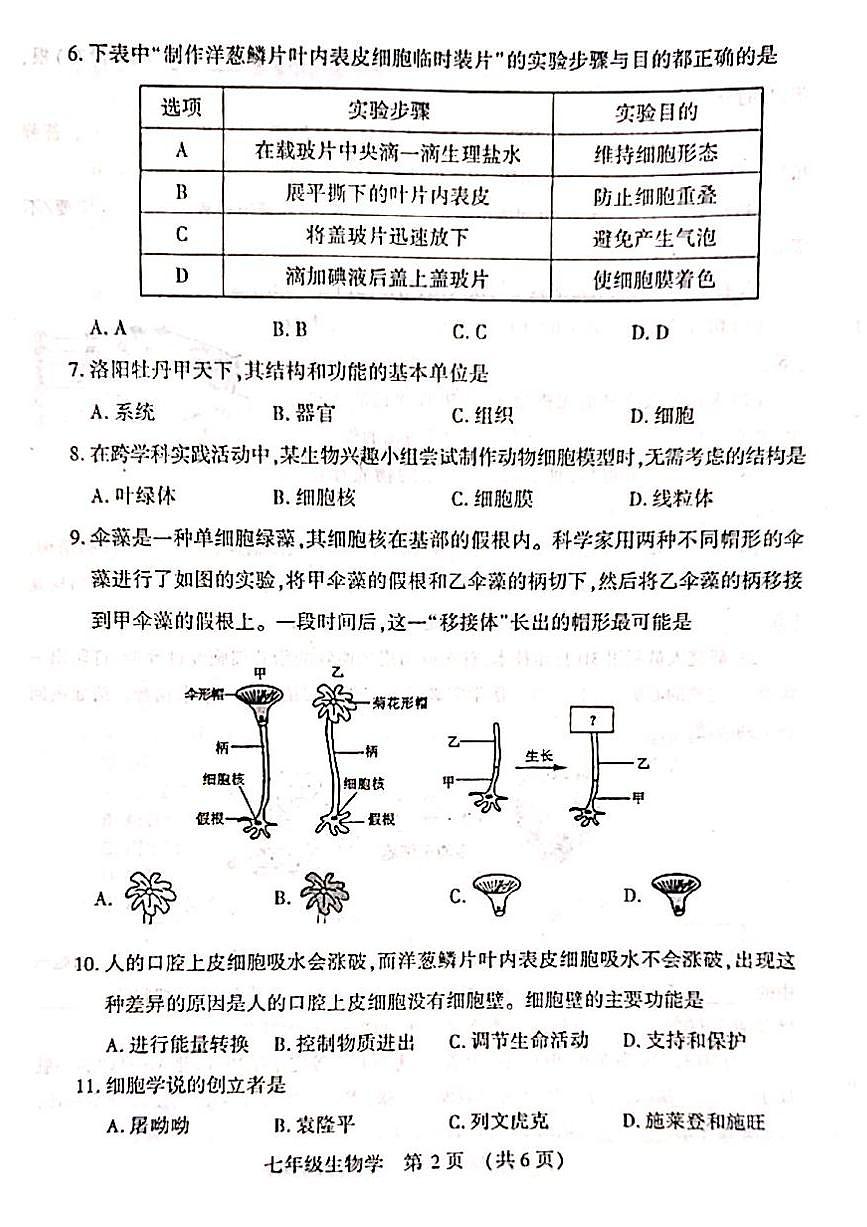 河南省洛阳市嵩县2025—2026学年七年级上学期期中考试生物试题第2页