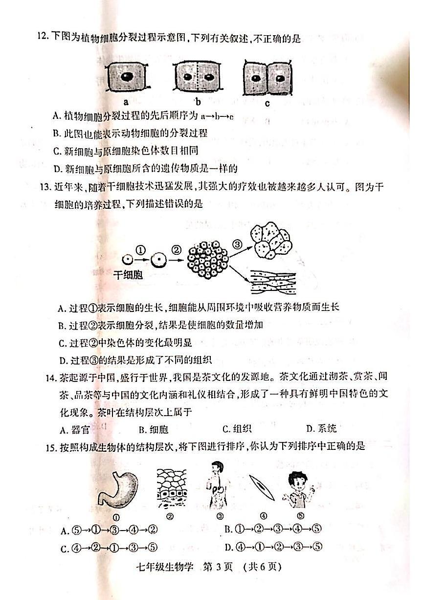 河南省洛阳市嵩县2025—2026学年七年级上学期期中考试生物试题第3页