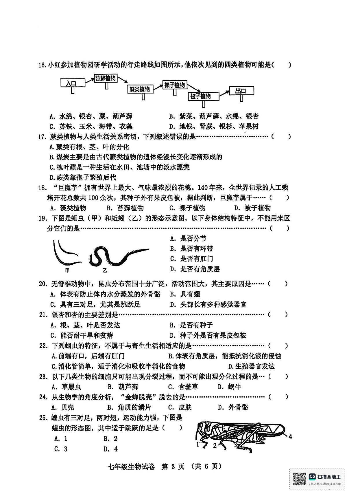 河北省秦皇岛市昌黎县2025-2026学年七年级上学期11月期中生物试题第3页