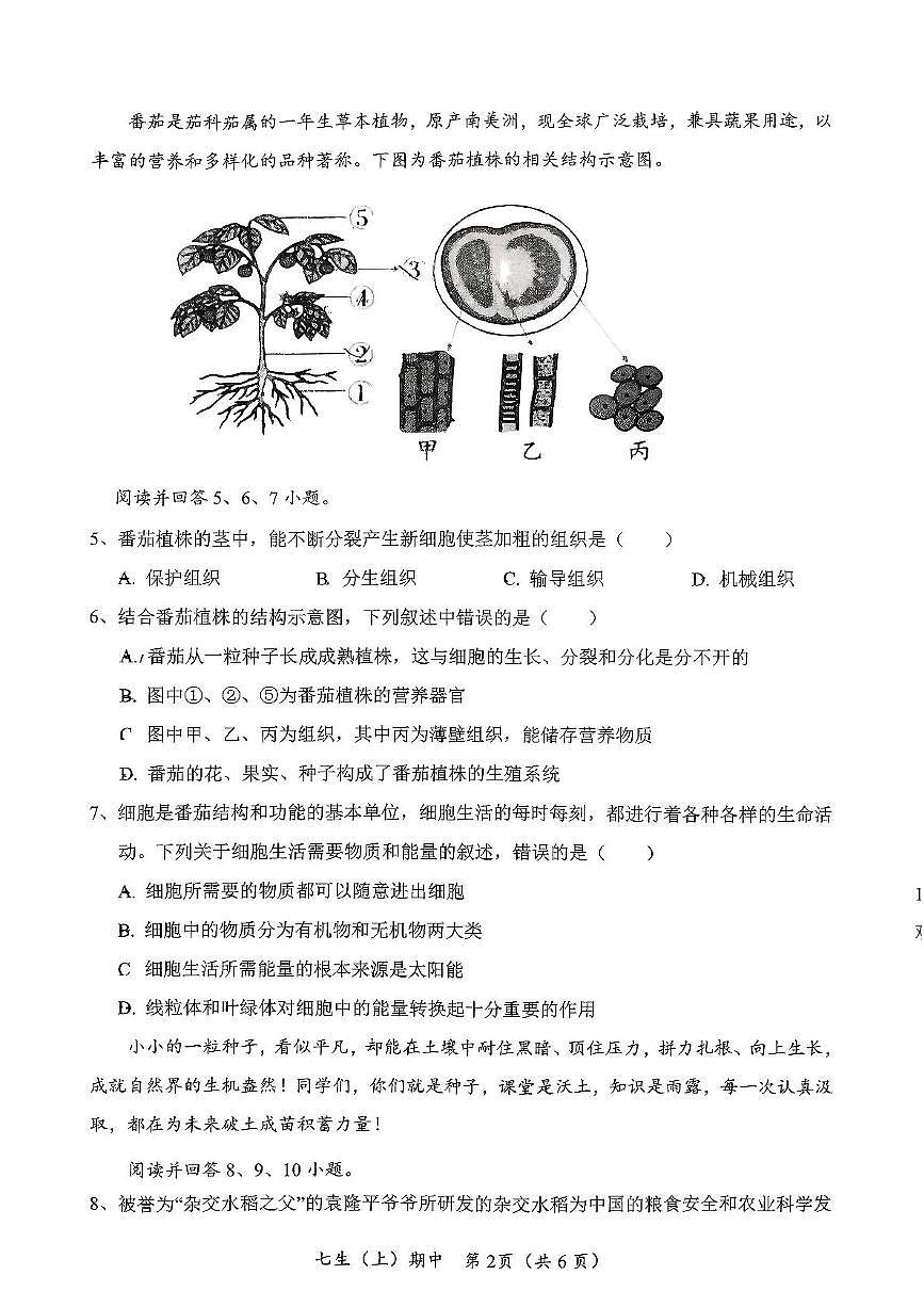 湖北省孝感市汉川市2025-2026学年七年级上学期11月期中生物试题第2页