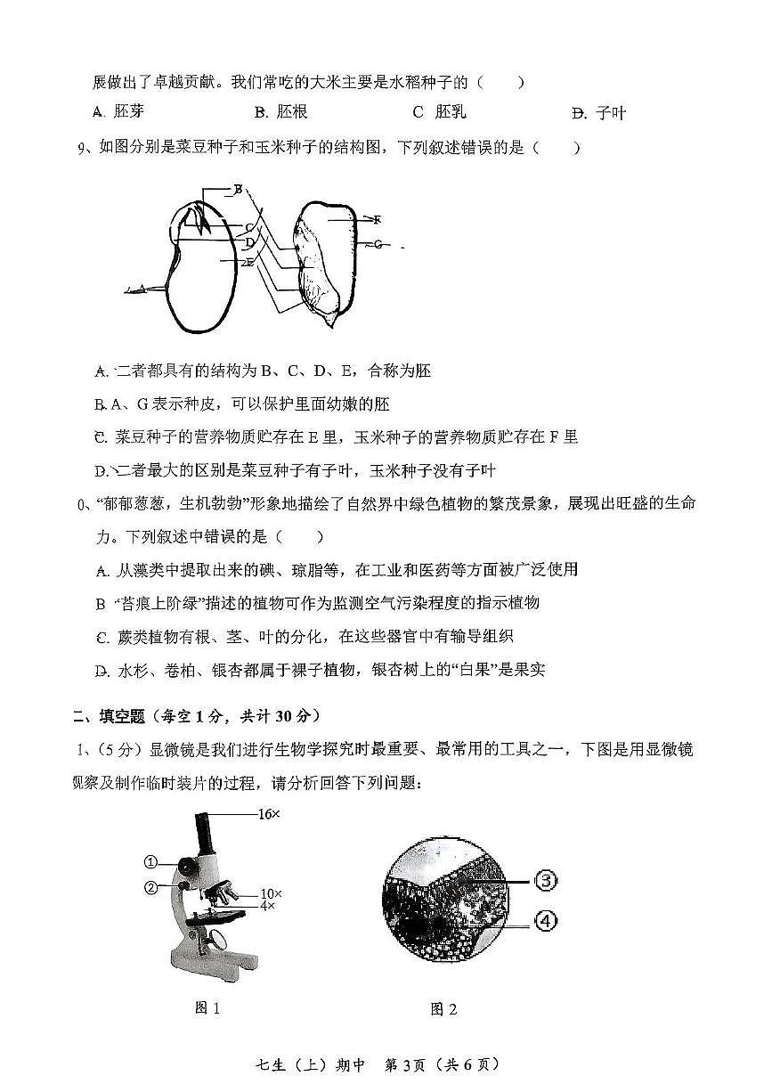 湖北省孝感市汉川市2025-2026学年七年级上学期11月期中生物试题第3页