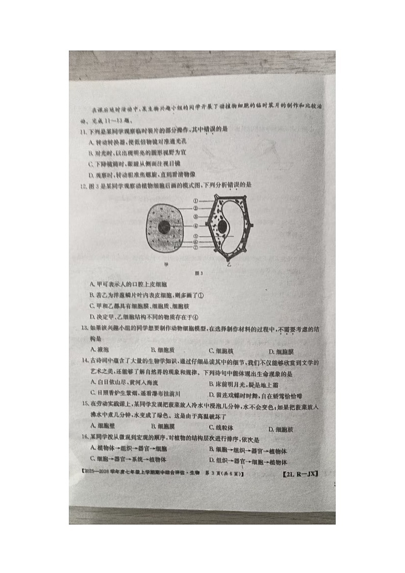 江西省九江市五校2025-2026学年七年级上学期11月期中生物试题第3页