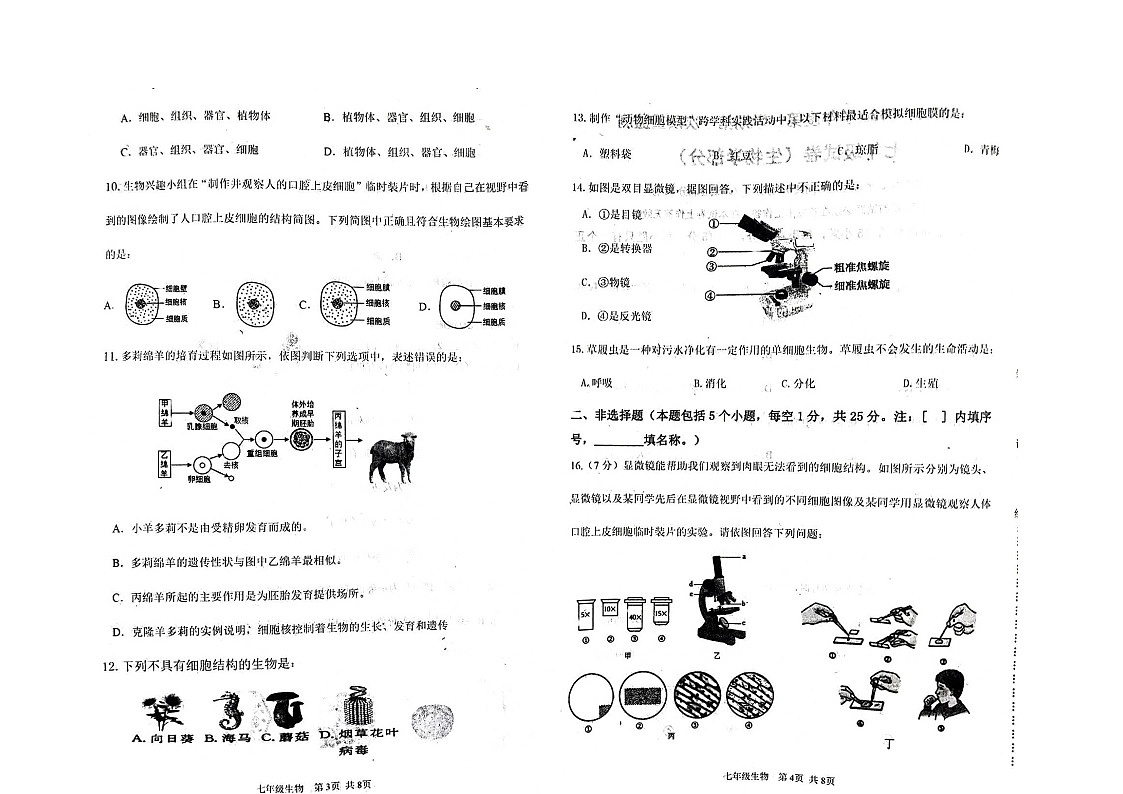辽宁省葫芦岛市绥中县2025-2026学年七年级上学期11月期中生物试题第2页