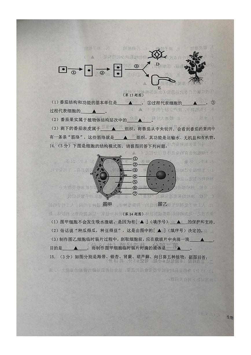 辽宁省葫芦岛市龙港区2025-2026学年七年级上学期期中考试生物试卷第3页