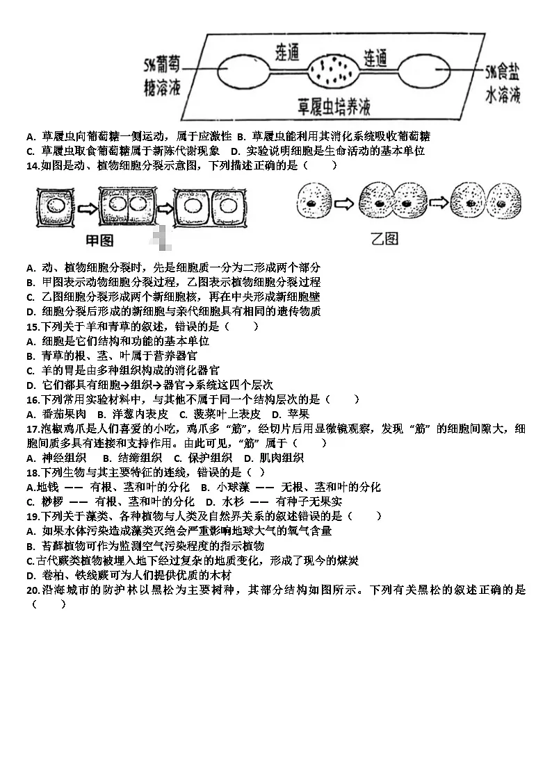 山东济南天桥区2025—2026学年七年级生物第一学期期中考试试题（含答案）第3页