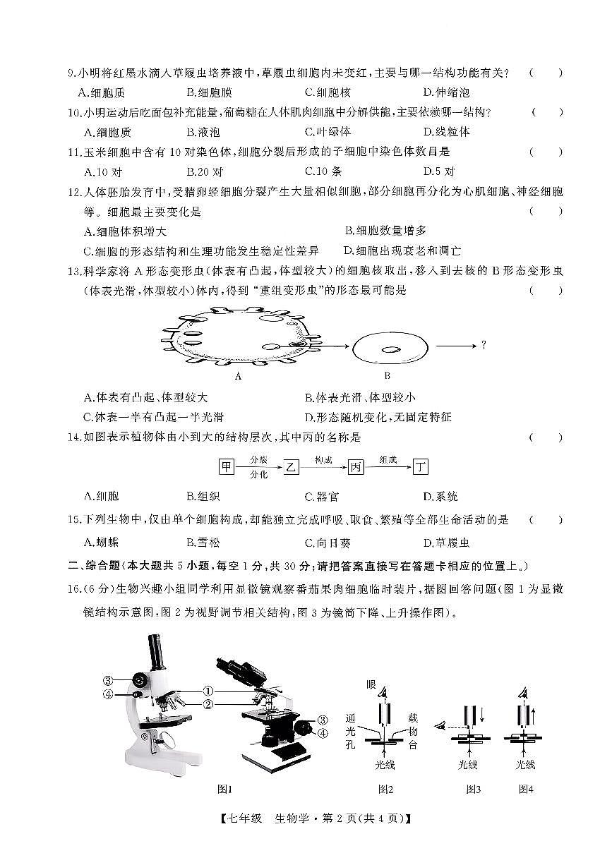 广西壮族自治区柳州市柳江区部分学校2025-2026学年七年级上学期期中生物试题第2页