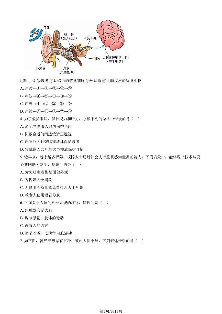 2025北京理工大附中初二（上）期中生物（教师版）试卷第2页