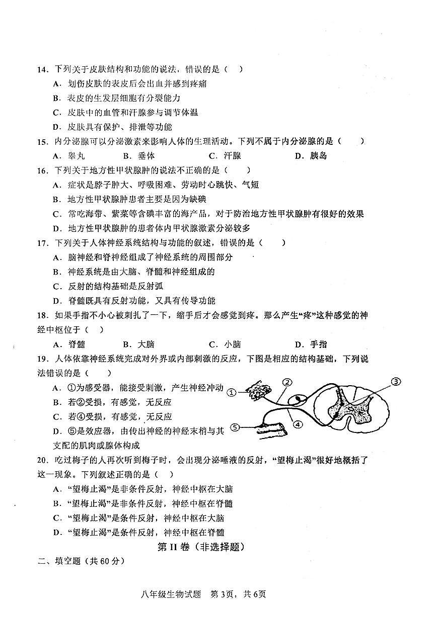山东省枣庄市市中区2025-2026学年八年级上学期11月期中生物试题第3页