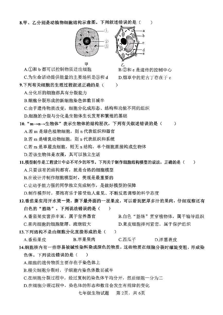 山东省枣庄市市中区2025-2026学年七年级上学期11月期中生物试题第2页