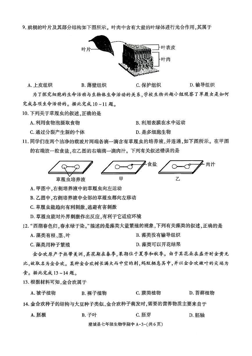 陕西省渭南市澄城县2025-2026学年七年级上学期期中考试生物试题第3页
