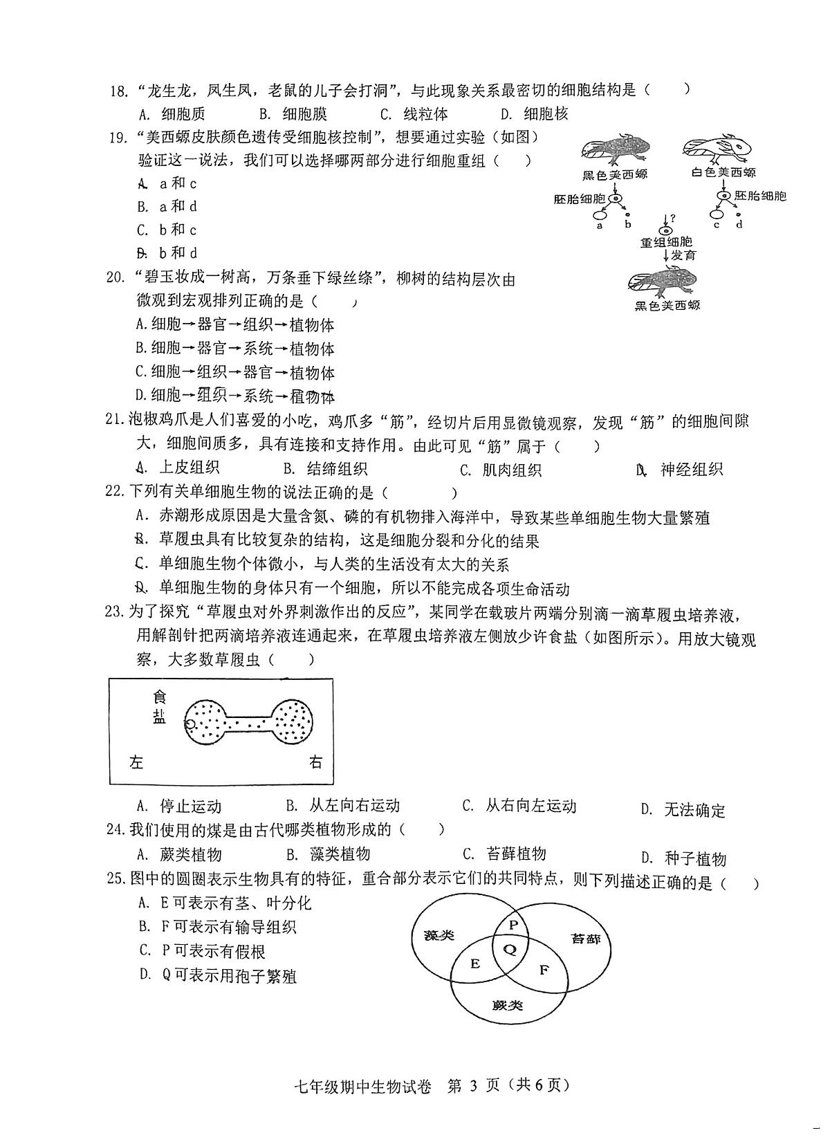 安徽省芜湖市部分初中联考2025-2026学年七年级上学期11月期中生物试题第3页