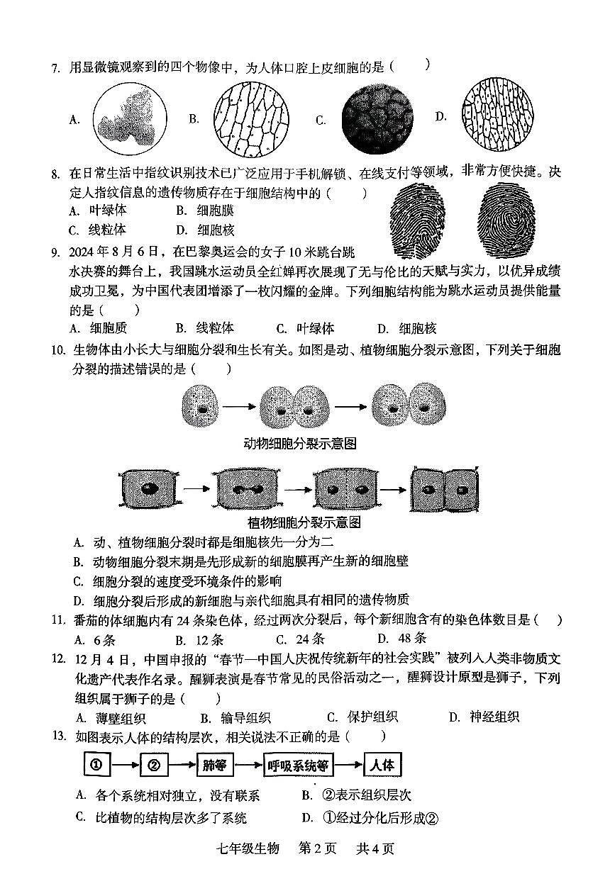 广西桂林市龙胜各族自治县2025-2026学年七年级上学期11月期中生物试题第2页